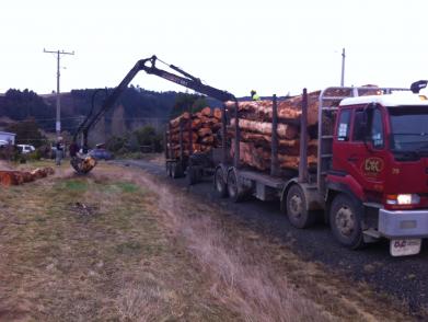 Unloading Firewood